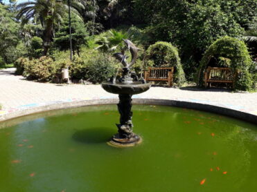 Ботанічний сад в Батумі