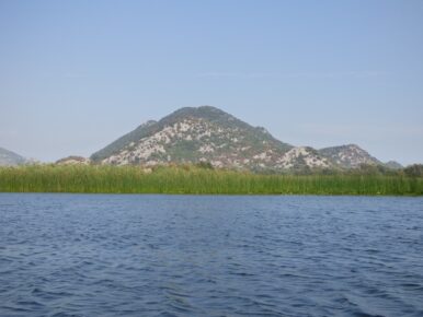Скадарское озеро экскурсия из Будвы