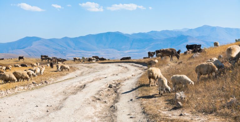 Высокогорная дорога в Армении
