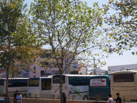 Intercity buses in Albania at the bus station